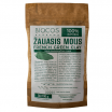 Žaliasis molis