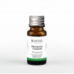 Briedragių absoliutas 10%